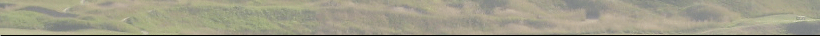 Banner Background Image